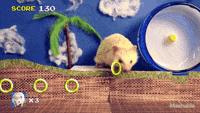 https://media3.giphy.com/media/E0vbAjW0IV5oA/200w.gif