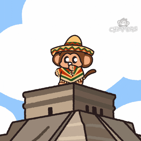 Cinco De Mayo Travel GIF by Chimpers