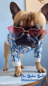 Good Morning Hello GIF by ProBit Global - Find & Share on GIPHY Good Morning Hello GIF by ProBit Global - Find & Share on GIPHY