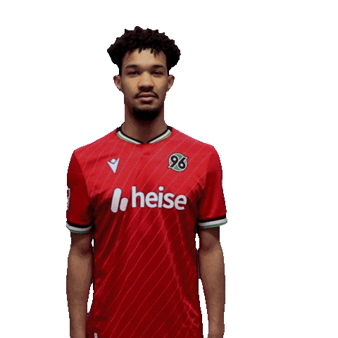 Schmidt H96 Sticker by Hannover 96