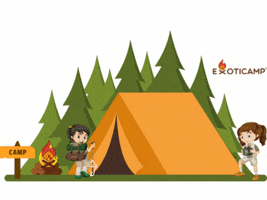 Exoticamp camp tent campsite exoticamp GIF