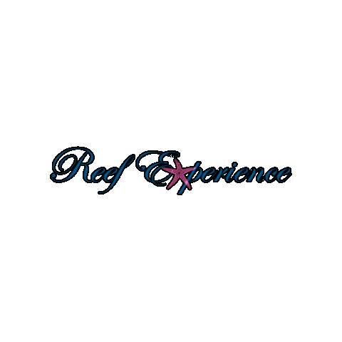 Reef Trip Sticker