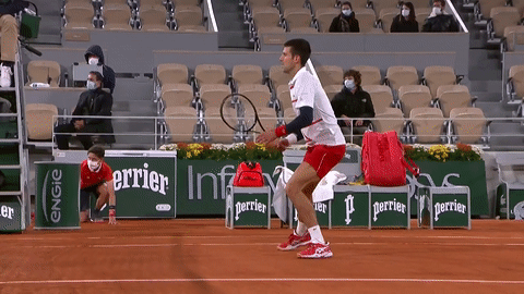 French Open Tennis GIF