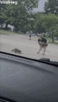 Angry Raccoon Chases Girl Away GIF by ViralHog