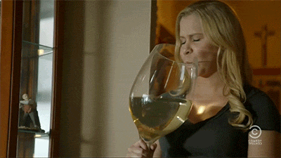 Drunk Amy Schumer GIF - Find & Share on GIPHY