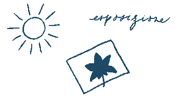 Sun Sticker