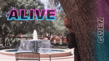Mywalo GIF
