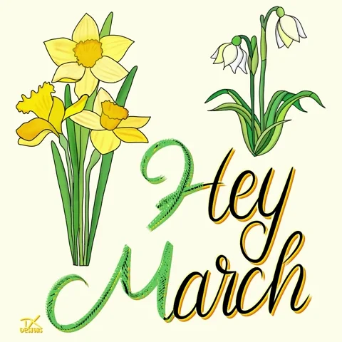 March 1St Spring GIF