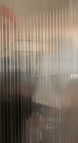 Six Socks Studio GIF