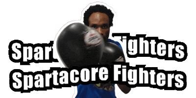 Boxing Fighters Sticker by Spartacore