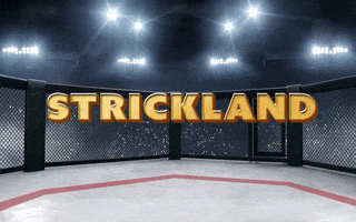 Sports gif. UFC's announcement of Sean Strickland and Dricus Du Plessis's fight. Text, "Strickland" is punched off the screen with a boxing glove to, "Vs. Du Plessis." 