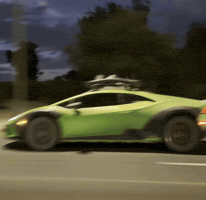 Lambo GIF by Weaver Car Storage