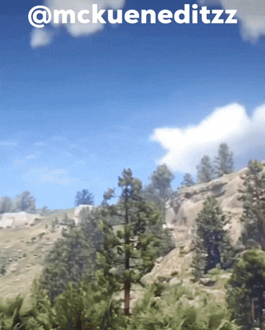 Red Dead Redemption Rdr2 GIF