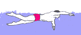 Kings suplementos GIF