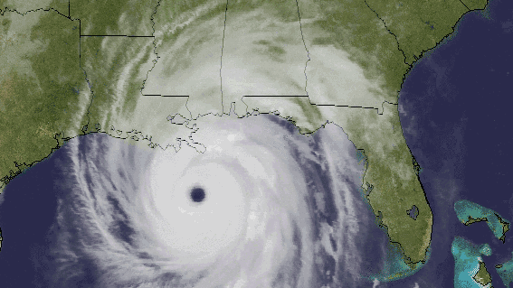 Image result for hurricane gif