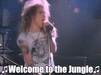 Image result for gif welcome to the jungle
