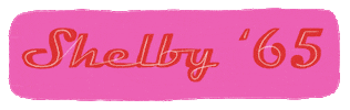Shelby Oldis Sticker