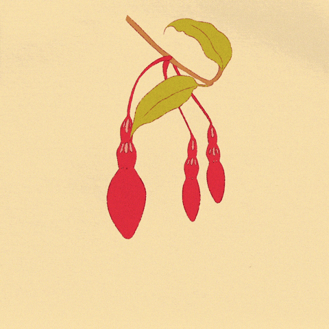 Animation GIF