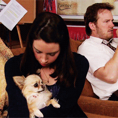 Parks And Recreation I Hate People GIF - Find & Share on GIPHY
