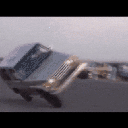 Fun Celebrate GIF