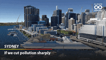 Australia GIF
