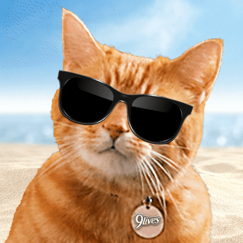 Digital art gif. An image of a plump orange cat is edited to make it appear as though it's adjusting its sunglasses to peer over the top. Its eyes widen as the glasses come down.