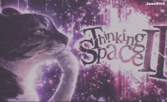 Cat Space GIF