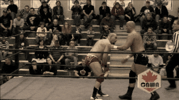Wwe GIF