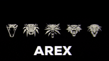 Witcher 3 GIF