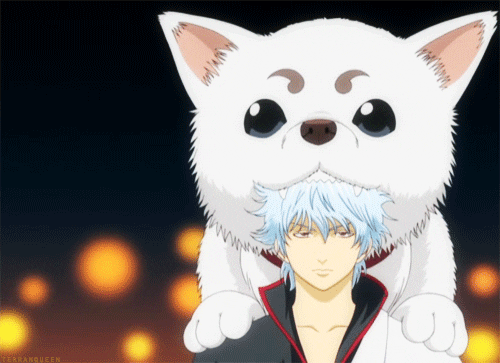 Resultado de imagem para Gintama sadaharu gifs