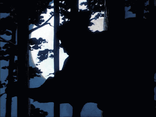 giphy.gif?cid=790b76115cda731f2f32387567