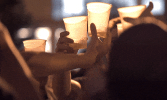 friends cheers GIF by DC Fray