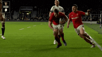 so close rugby GIF by Guinness Six Nations