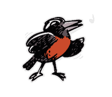Loica Sticker