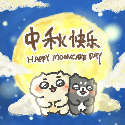 Full Moon Cat GIF