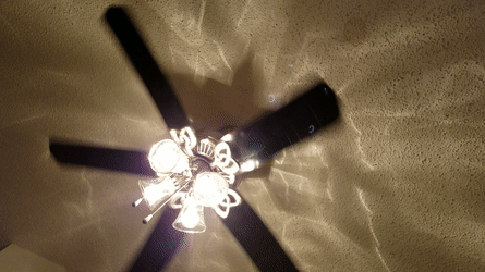 Ceiling Fans Gifs Get The Best Gif On Giphy