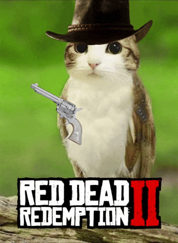 Rdr2 GIF