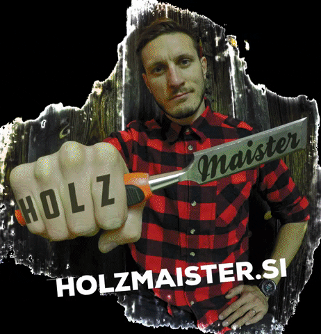 HolzMaister GIF