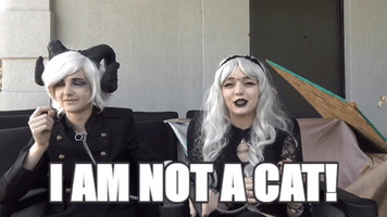 torutakanuru  GIF