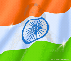 Team India GIF