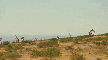 Music Video Desert GIF by Patrick Paige II