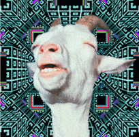 Goat GIF