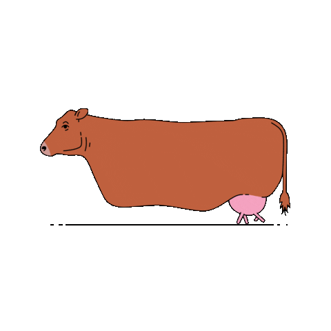 Walk Sticker