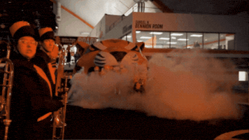 Football Roar GIF by Idaho State University
