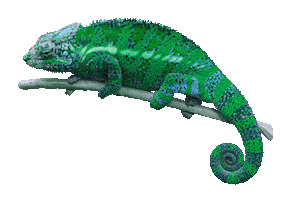 Digilari Media Sticker