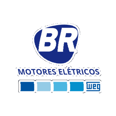 Br Motores Elétricos Sticker