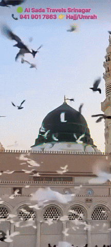 The Best Place Is Medina GIF