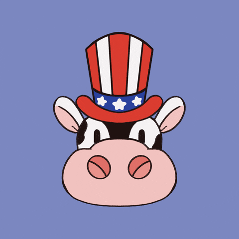 America Partyintheusa GIF by tulipartcafe