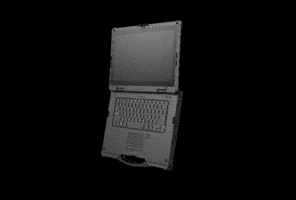 MINNOLATAM GIF