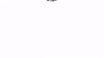NetWorth Realty GIF